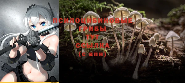 бутират Медногорск