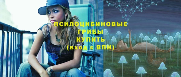 PSILOCYBIN Михайловск