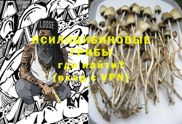 PSILOCYBIN Михайловск