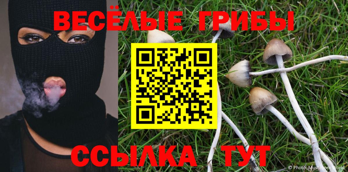 что такое   Псилоцибиновые грибы Psilocybe  Вход с VPN  Галлюциногенные грибы GOLDEN TEACHER  Кувандык 