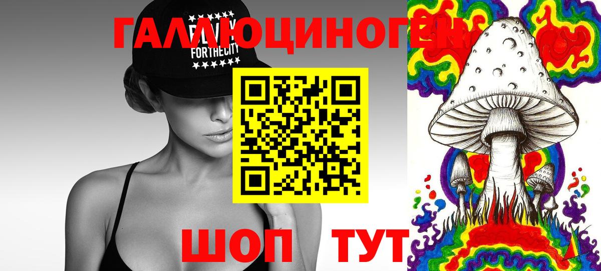 Галлюциногенные грибы Psilocybe Кувандык